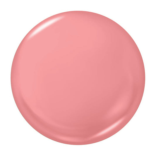 NP028 - Cupcakes And Muffins