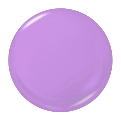 NP033 - Chaos Is Comfortable